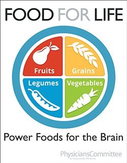 Power Foods For The Brain