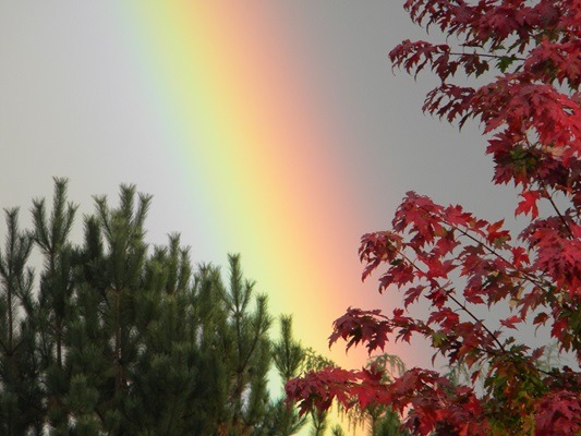 Rainbow