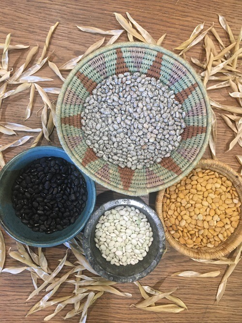 Seeds